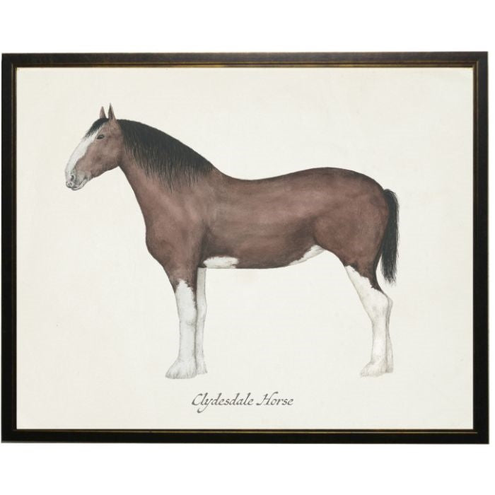 black clydesdale stallion