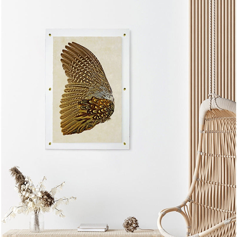 Fall Walls - Air: Wings, Feathers + Nests