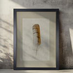 The Barn Owl Feather Photography Art from Barloga Studios is displayed on a textured wall with soft, natural light, featuring archival wood frames.