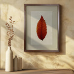 photography handmade paper sumac leaf nature wall art in wooden frame on neutral wall