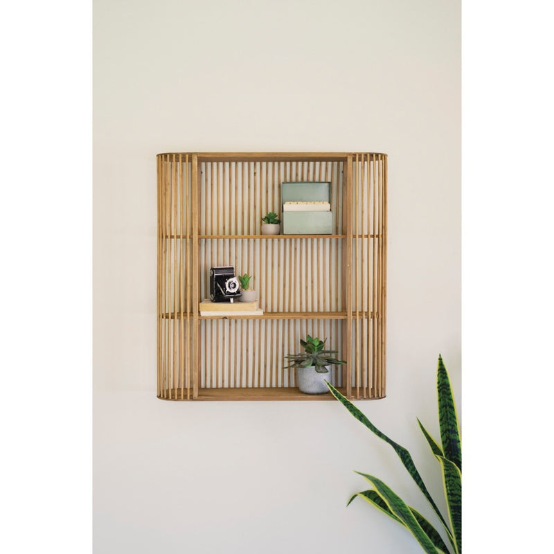 Kalalou Wood Spindle Oval Wall Shelf with plants, camera, books; a snake plant stands right against a white wall.