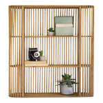 The Kalalou Wood Spindle Oval Wall Shelf holds books, a camera, and a succulent plant