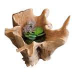 flared sides natural teak root bowl