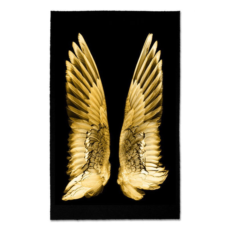 Golden angel wings against a black background, with detailed feather texture, elegantly mounted in an archival wood frame.

Golden Duck on Kozo Noire Photography Art by Barloga Studios showcases exquisite golden hues set against a dark backdrop, capturing intricate details effortlessly, and is available in various sizes and styles.