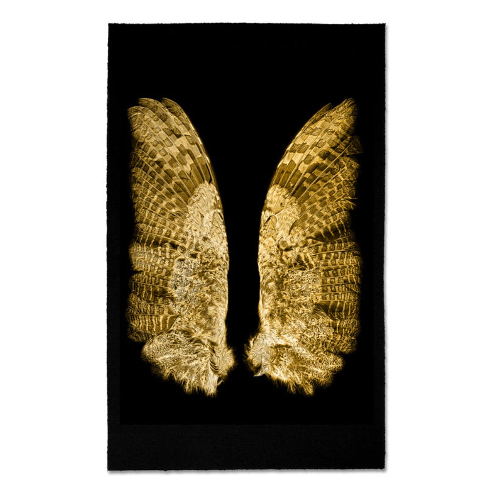 Golden Owl Kozo Noire Photography Art by Barloga Studios features golden, textured wings against a black background, resembling the wings of an insect or bird, displayed symmetrically and encased in an archival wood frame.