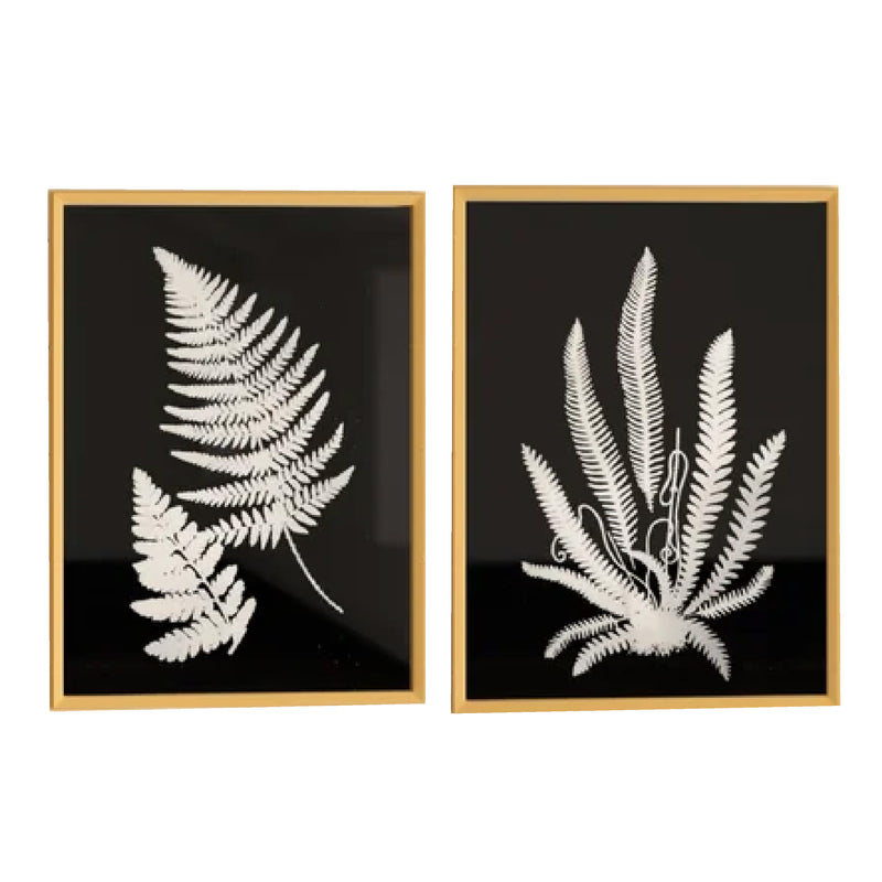 A pair of oversized art prints titled "Black + White Fern Prints Under Glass" by Kalalou, showcasing exquisite black and white fern leaves on a striking black background.