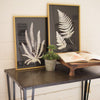 A set of two Black + White Fern Prints Under Glass by Kalalou is elegantly displayed on a table alongside a small potted plant and an open book on a wooden stand.