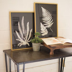 A set of two Black + White Fern Prints Under Glass by Kalalou is elegantly displayed on a table alongside a small potted plant and an open book on a wooden stand.