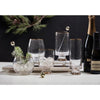 seeded glass champagne glass gold rimmed set 