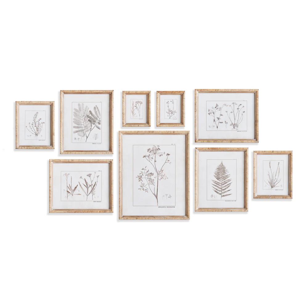 rattan frame natural sepia botanical study art prints set