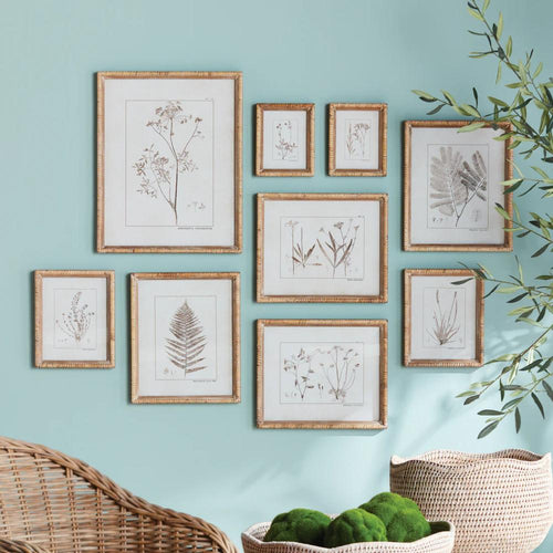 rattan frame natural sepia botanical study art prints set