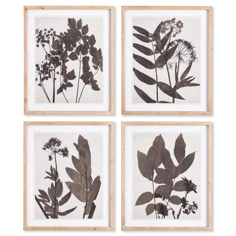 light frame art prints sepia foliage set 