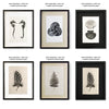 black framed photography prints