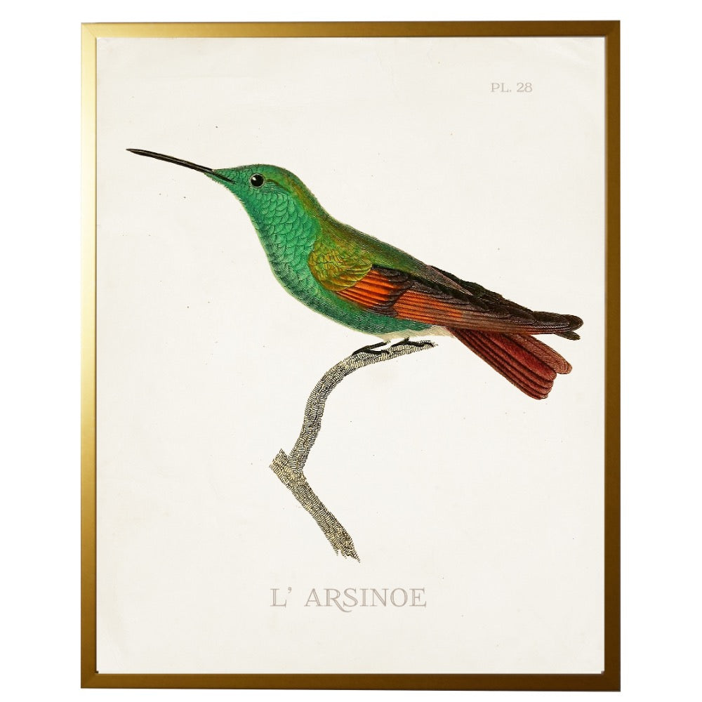 left facing hummingbird wall art