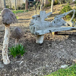 Set of 2 oversized garden Metal Mushrooms