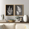 A set of Black + White Fern Prints Under Glass by Kalalou graces the wall, surrounded by pottery, books, plants, and cozy cushions on the shelf and sofa.