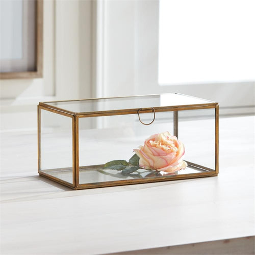 rectangular display box glass antique brass loop closure