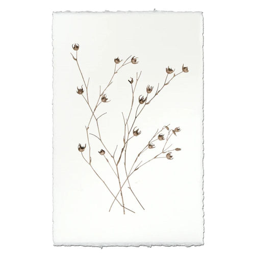 photography petal plant handmade paper