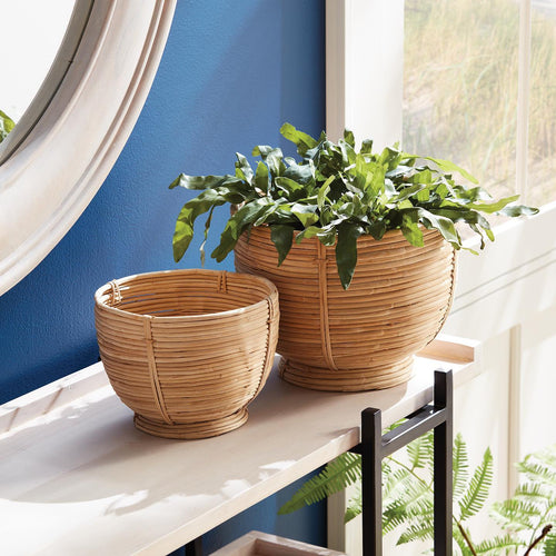 Two wicker plant baskets accompany a Rattan Footed Bowl from Napa Home & Garden set on a table; one basket cradles a leafy green plant, all beautifully framed by a blue wall and window backdrop.