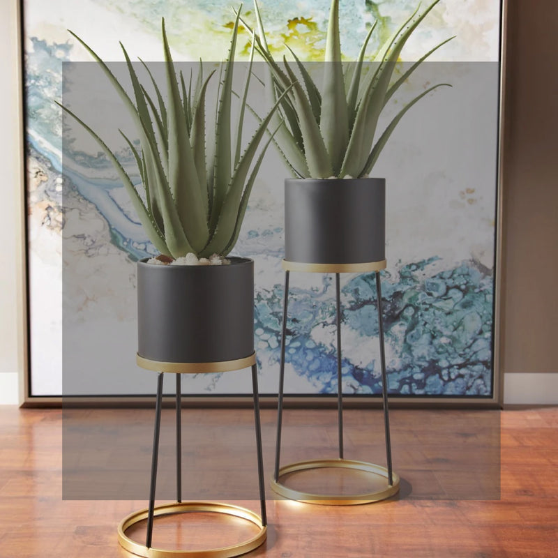 Two aloe vera plants in black pots with gold accents on stands, placed on a wooden floor in front of abstract art.