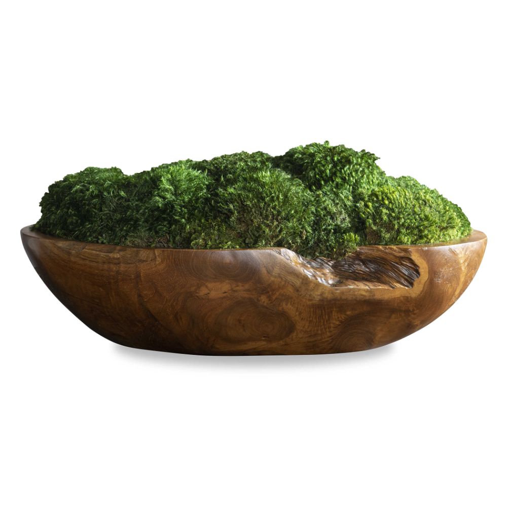 teak bowl preserved moss