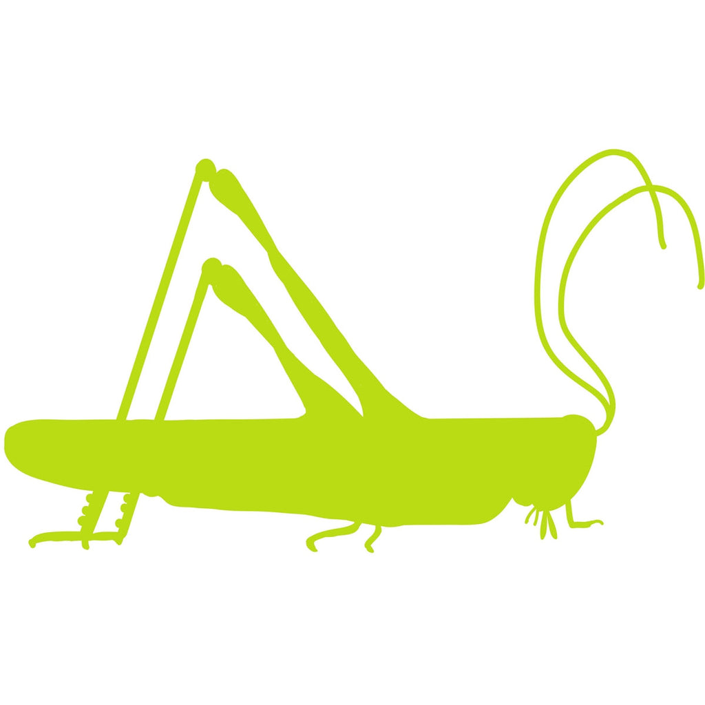 green grasshopper paper placemat